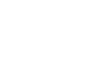 MEXICANOS CHINGANDOLE CABRON